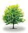 tree16