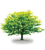 tree47