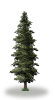 tree8